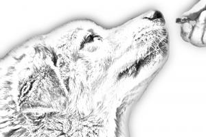 Santuario Noguera Santuario Noguera